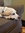 Sally (sal_pal) | 3 comments