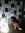 Hafsa