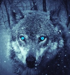 Christianmichael Dutton