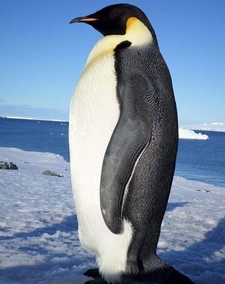 Ignacio González Salgado 