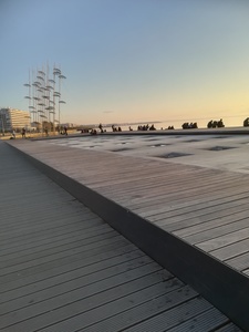 Ντίνα Βαρδάκα