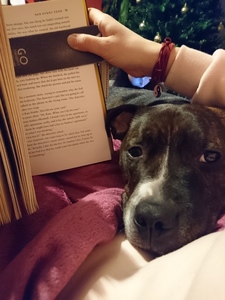 Marzena Strzalkowska