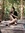 T.L. Thornes (authortlthornes) | 2 comments
