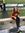 Aleah H...