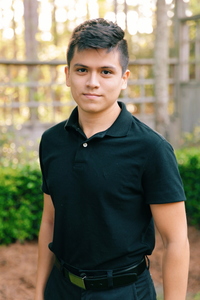 Rod Landa