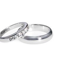 أحمد الالفى