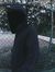 M Ilham