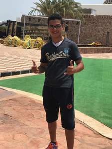 محمود العربي