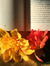 Yellow Orange Books 🌼