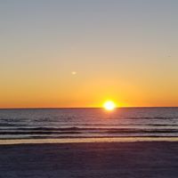 Donna Nuziale-Abrams