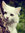 Hannah | 3 comments