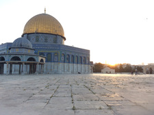 شيرين عليوي