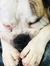 Oliver