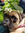 Lola | 2 comments
