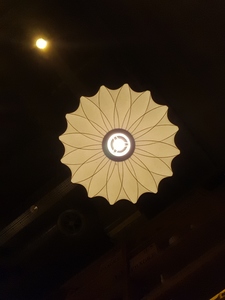 Gül T