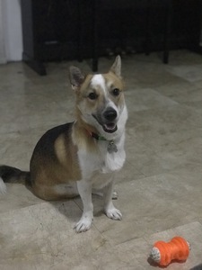 jane