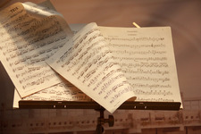 شيماء الهندي