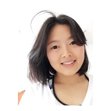 Liu Hui