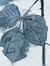 MouthLeaf