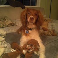 ChiefFriday De Chippewa