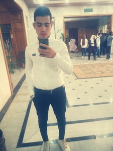 Hossam H. Ali