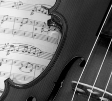 A happy butterfly &#x1f98b;