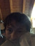 Alessio