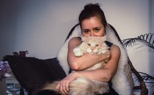 Shani - Between two chapters