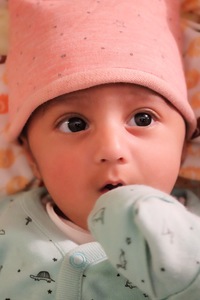 Zoha