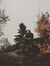 Josh