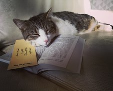 Bouquiner_dans_les_vignes 