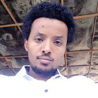 Mesfin Shibeshi