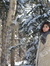 Ghada Z...