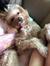 Nim