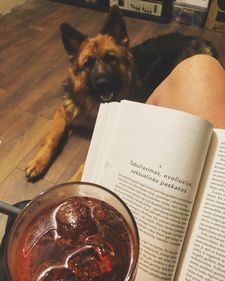 Austė Žalnieriūnaitė