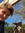 Filip