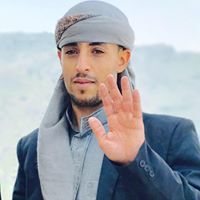 هشام الشامي