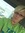 Kristi Rist