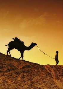 Mufeedh Bin Muhammad