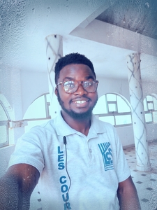 Dandi Prince Sheks