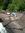 Wendy V...