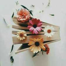 Reem Ehap