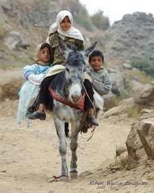 مخيلد الجاسر