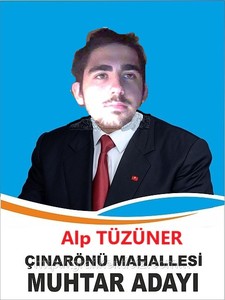 Alp