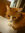 Roz Garrett (rpgarrett) | 3 comments