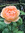 member photo member photo