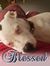Cyndi C...