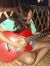 Rhea Soria