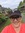 Deb Hendry