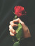 هَنَـــاءْ